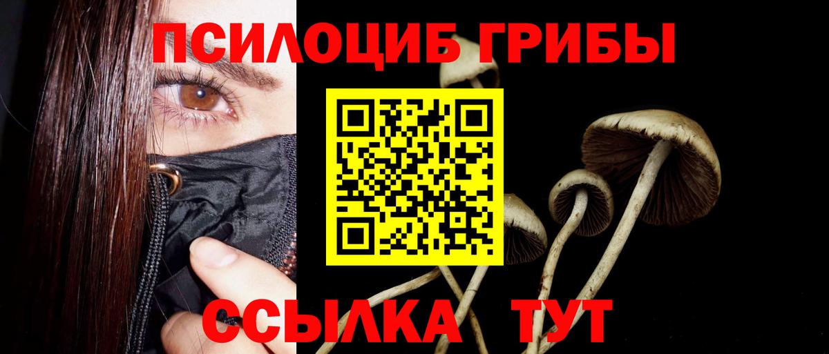 Псилоцибиновые грибы GOLDEN TEACHER Моздок