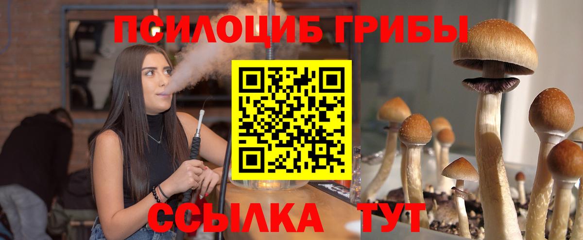 Моздок  Галлюциногенные грибы прущие грибы  Вход с VPN 